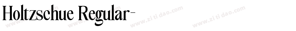 Holtzschue Regular字体转换